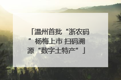 温州首批“浙农码”杨梅上市 扫码溯源“数字土特产”