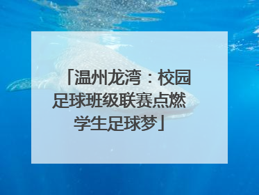 温州龙湾：校园足球班级联赛点燃学生足球梦