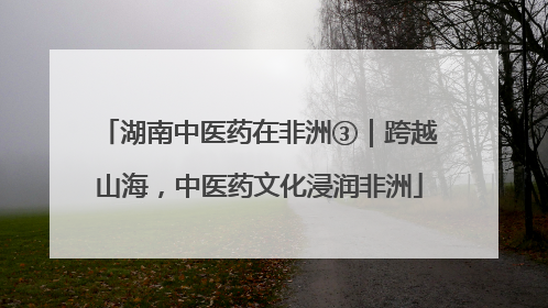 湖南中医药在非洲③｜跨越山海，中医药文化浸润非洲