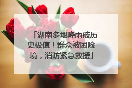 湖南多地降雨破历史极值！群众被困险境，消防紧急救援