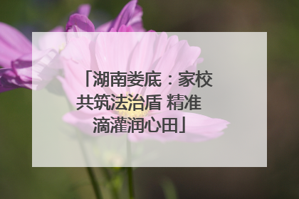 湖南娄底：家校共筑法治盾 精准滴灌润心田