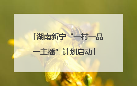 湖南新宁“一村一品一主播”计划启动