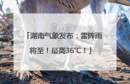 湖南气象发布：雷阵雨将至！最高36℃！