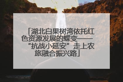 湖北白果树湾依托红色资源发展的蝶变——“抗战小延安”走上农旅融合振兴路