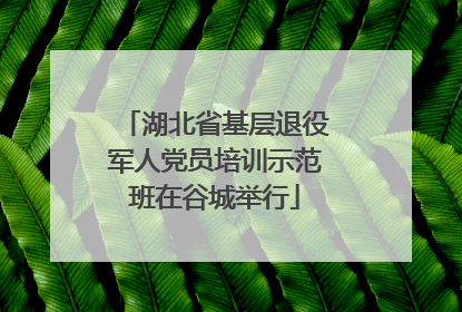 湖北省基层退役军人党员培训示范班在谷城举行