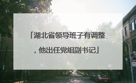 湖北省领导班子有调整，他出任党组副书记