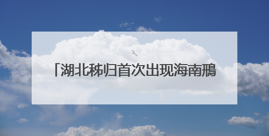 湖北秭归首次出现海南鳽！全球仅存1000只