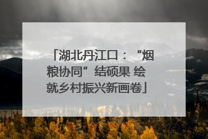 湖北丹江口：“烟粮协同”结硕果 绘就乡村振兴新画卷