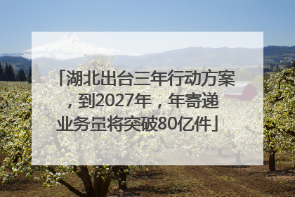 湖北出台三年行动方案，到2027年，年寄递业务量将突破80亿件
