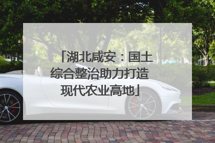 湖北咸安：国土综合整治助力打造现代农业高地