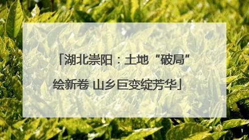 湖北崇阳：土地“破局”绘新卷 山乡巨变绽芳华