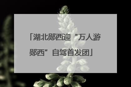 湖北郧西迎“万人游郧西”自驾首发团