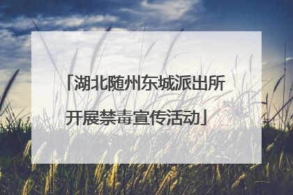 湖北随州东城派出所开展禁毒宣传活动