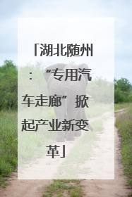 湖北随州：“专用汽车走廊”掀起产业新变革