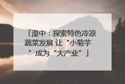 湟中：探索特色冷凉蔬菜发展 让“小菊芋”成为“大产业”