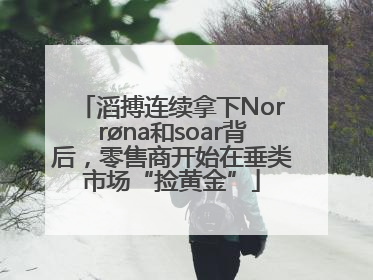 滔搏连续拿下Norrøna和soar背后，零售商开始在垂类市场“捡黄金”