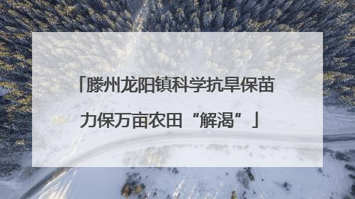 滕州龙阳镇科学抗旱保苗 力保万亩农田“解渴”