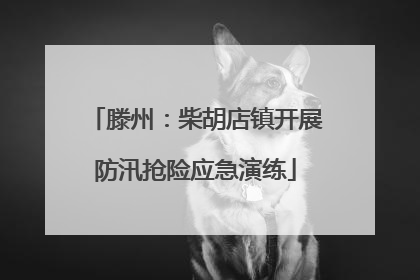 滕州：柴胡店镇开展防汛抢险应急演练