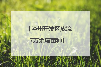 漳州开发区放流7万余尾苗种