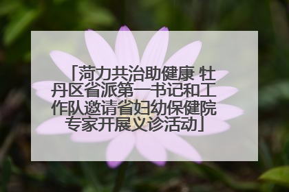 菏力共治助健康 牡丹区省派第一书记和工作队邀请省妇幼保健院专家开展义诊活动
