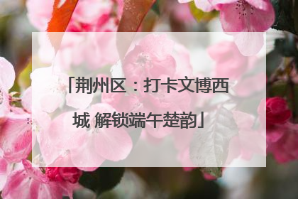 荆州区：打卡文博西城 解锁端午楚韵