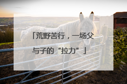 荒野苦行，一场父与子的“拉力”