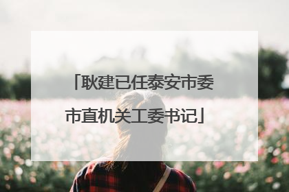 耿建已任泰安市委市直机关工委书记