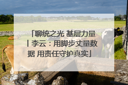 聊统之光 基层力量丨李云：用脚步丈量数据 用责任守护真实