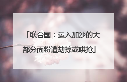 联合国：运入加沙的大部分面粉遭劫掠或哄抢