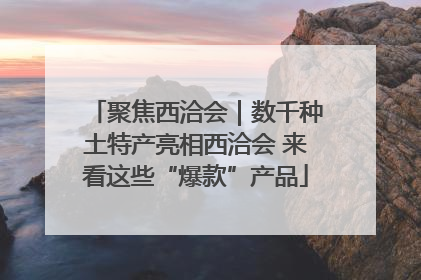 聚焦西洽会｜数千种土特产亮相西洽会 来看这些“爆款”产品