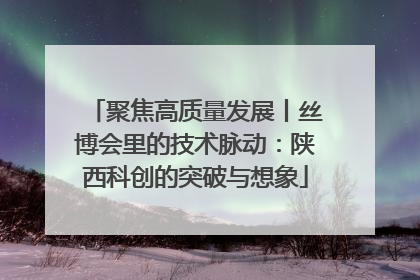 聚焦高质量发展丨丝博会里的技术脉动：陕西科创的突破与想象