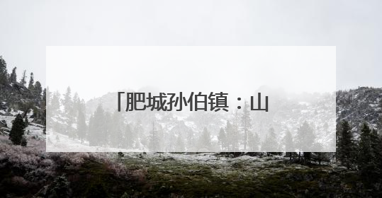 肥城孙伯镇：山村油杏满枝头