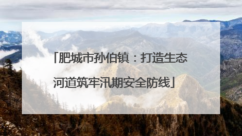 肥城市孙伯镇：打造生态河道筑牢汛期安全防线