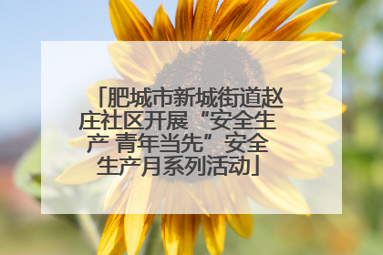 肥城市新城街道赵庄社区开展“安全生产 青年当先”安全生产月系列活动