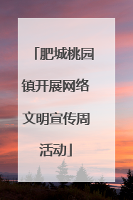 肥城桃园镇开展网络文明宣传周活动