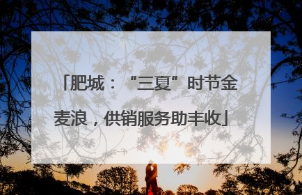肥城：“三夏”时节金麦浪，供销服务助丰收