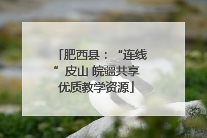 肥西县：“连线”皮山 皖疆共享优质教学资源