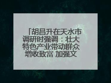 胡昌升在天水市调研时强调：壮大特色产业带动群众增收致富 加强文物保护推动文化创新发展