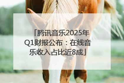 腾讯音乐2025年Q1财报公布：在线音乐收入占比近8成