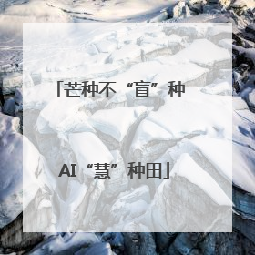 芒种不“盲”种 AI“慧”种田