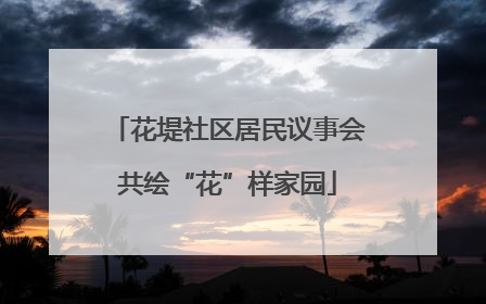 花堤社区居民议事会共绘“花”样家园