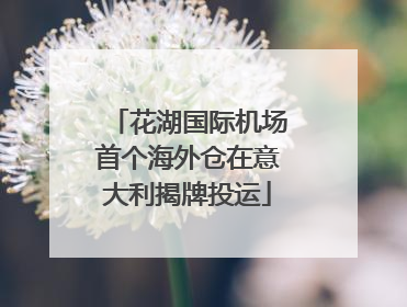 花湖国际机场首个海外仓在意大利揭牌投运