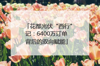 花都光伏“西行”记：6400万订单背后的双向赋能