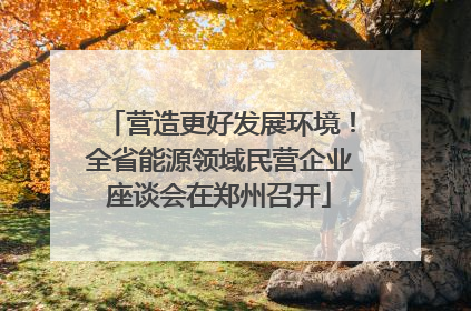 营造更好发展环境！全省能源领域民营企业座谈会在郑州召开
