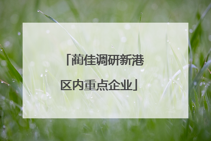 蔺佳调研新港区内重点企业