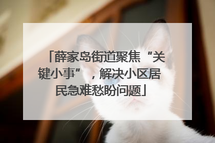 薛家岛街道聚焦“关键小事”，解决小区居民急难愁盼问题