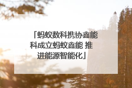 蚂蚁数科携协鑫能科成立蚂蚁鑫能 推进能源智能化