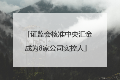 证监会核准中央汇金成为8家公司实控人