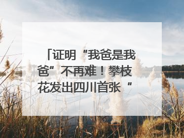证明“我爸是我爸”不再难！攀枝花发出四川首张“户籍人口直系亲属关系谱”