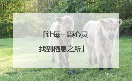 让每一颗心灵找到栖息之所